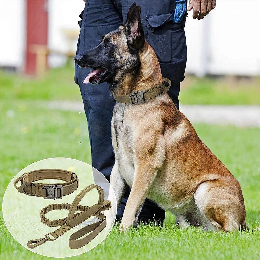 Tactical Dog Collars and Dog Leash Set for Larger Dogs