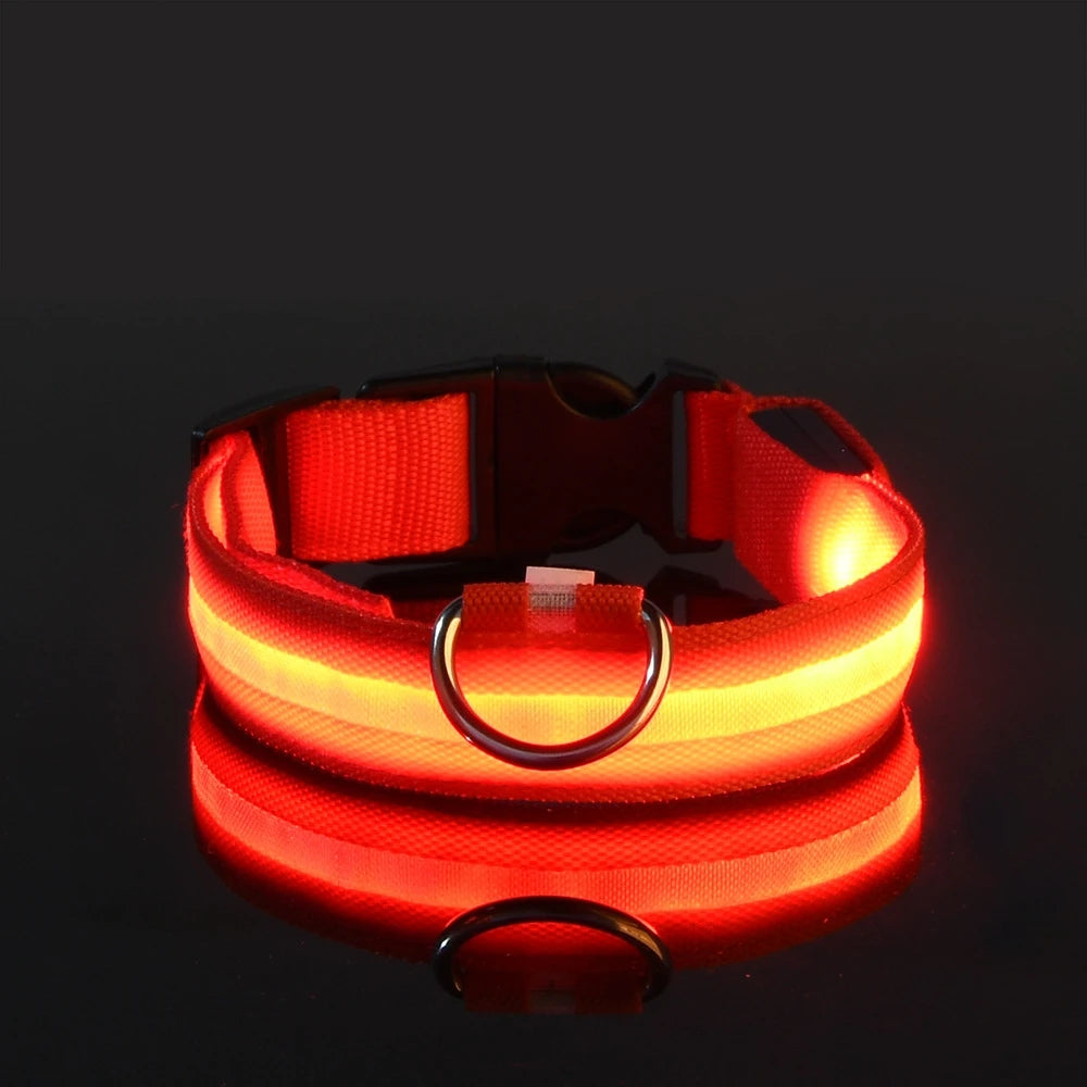 Nylon LED Night Safety Dog Collar