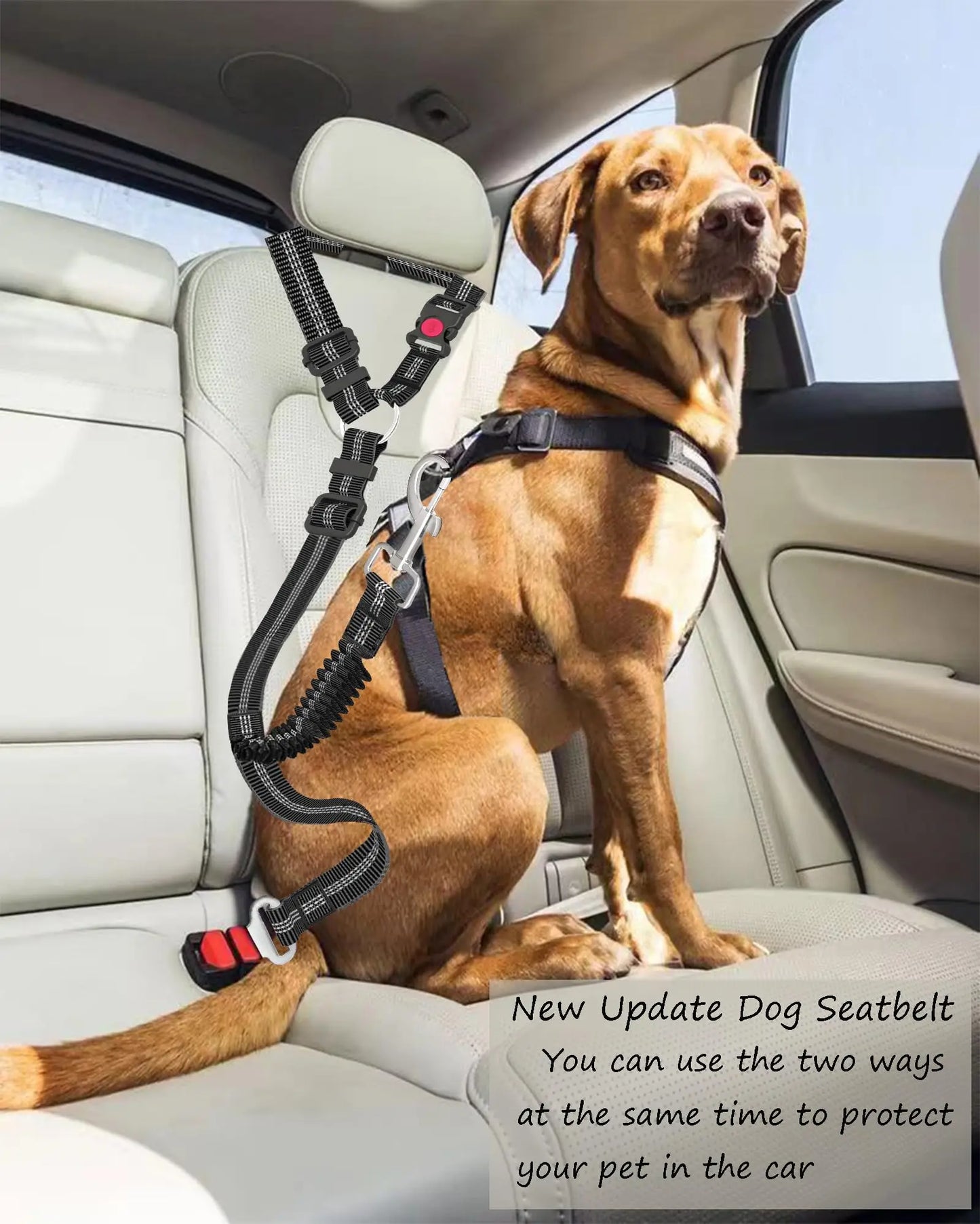 Adjustable Heavy Duty Dog Seat Belt