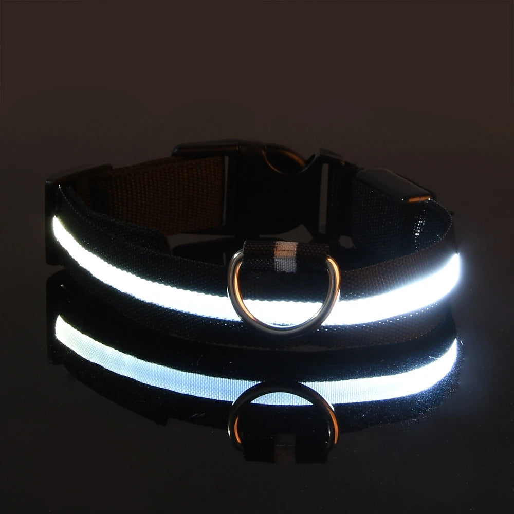 Nylon LED Night Safety Dog Collar