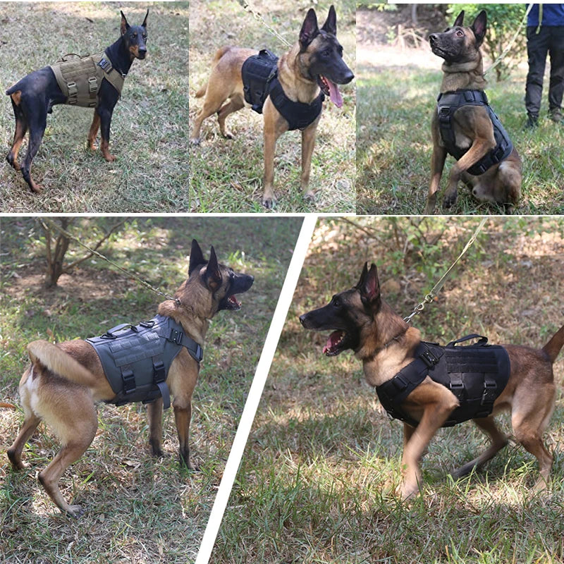 Tactical Harness Kits with Leash and Pack Bags