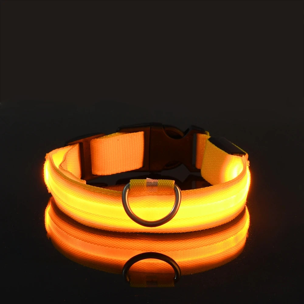 Nylon LED Night Safety Dog Collar