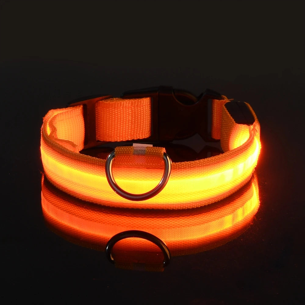 Nylon LED Night Safety Dog Collar