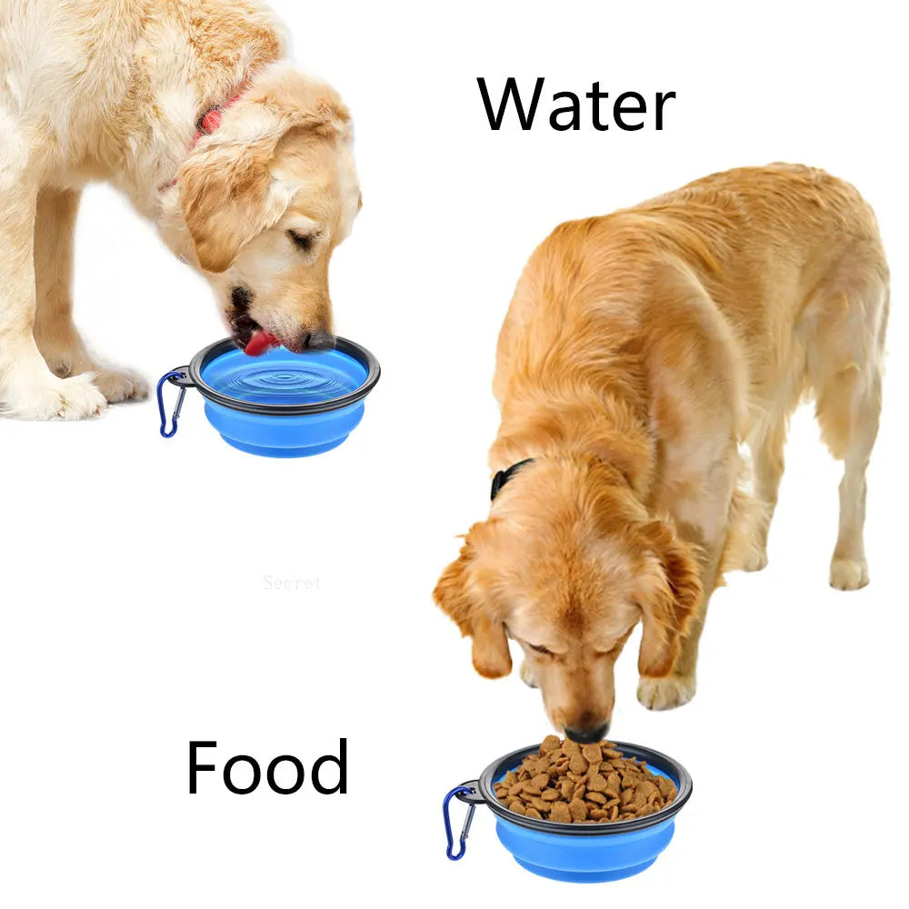 Collapsible Silicone Food and Water Bowl with Carabiner