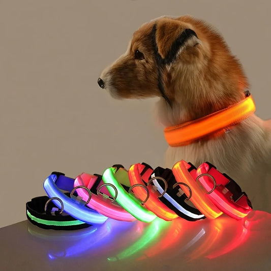 Nylon LED Night Safety Dog Collar