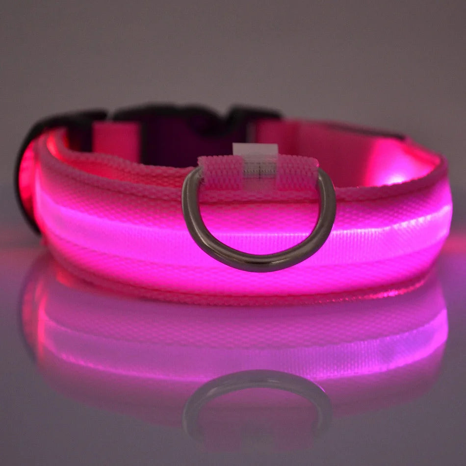 Nylon LED Night Safety Dog Collar