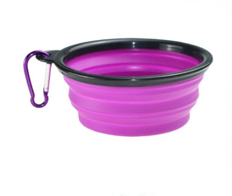 Collapsible Silicone Food and Water Bowl with Carabiner